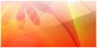 thmb_hfdpo06.jpg